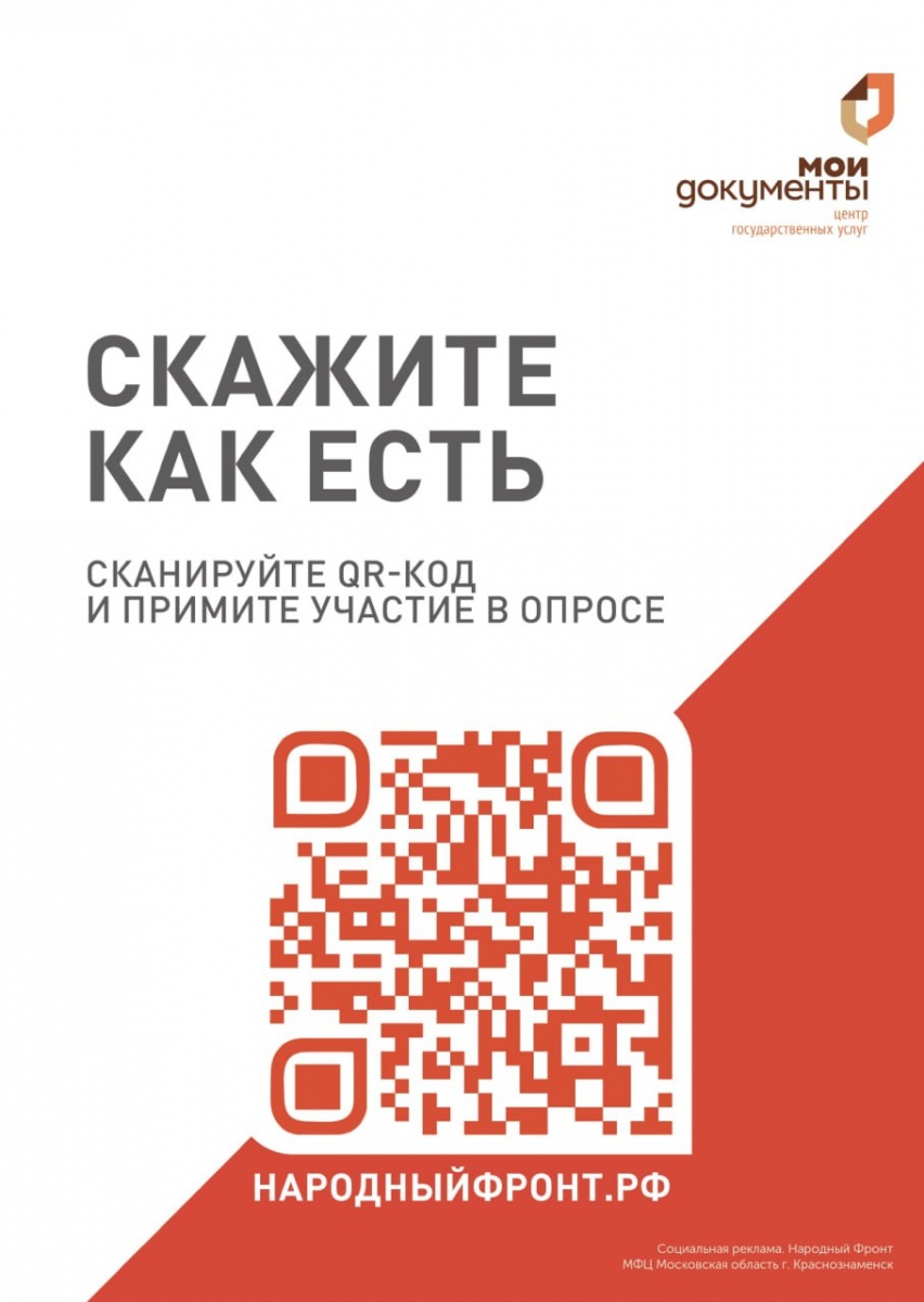 ОБЩЕРОССИЙСКИЙ НАРОДНЫЙ ФРОНТ