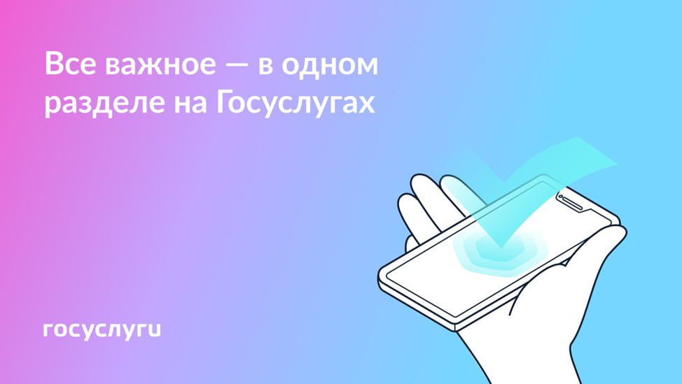 15 разделов Госуслуг для разных ситуаций